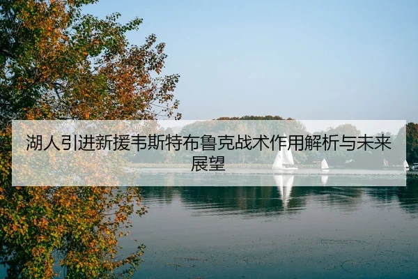 湖人引进新援韦斯特布鲁克战术作用解析与未来展望